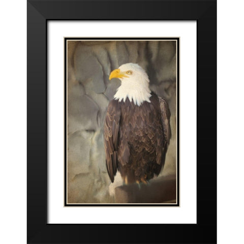 Perched Black Modern Wood Framed Art Print with Double Matting by Kimberly, Allen
