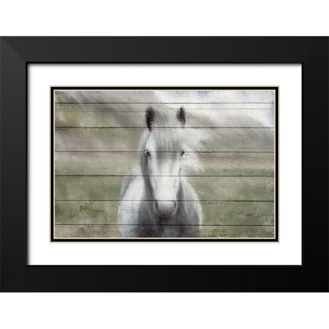 Wild Black Modern Wood Framed Art Print with Double Matting by Kimberly, Allen