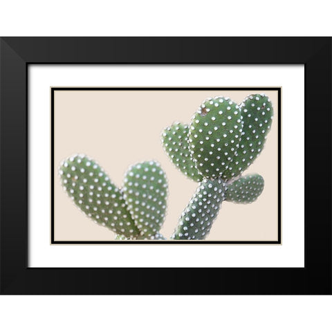Blush Cactus 1 Black Modern Wood Framed Art Print with Double Matting by Kimberly, Allen
