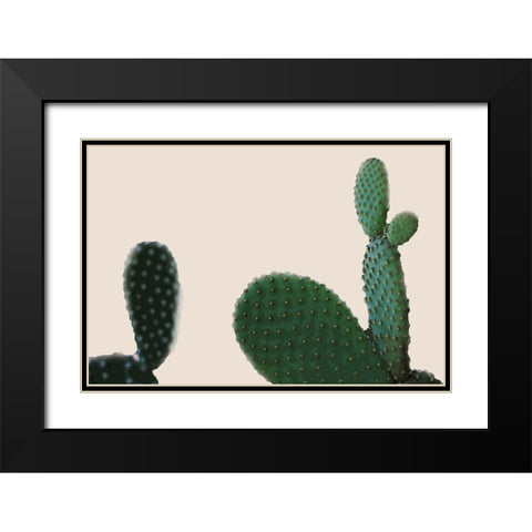 Blush Cactus 2 Black Modern Wood Framed Art Print with Double Matting by Kimberly, Allen