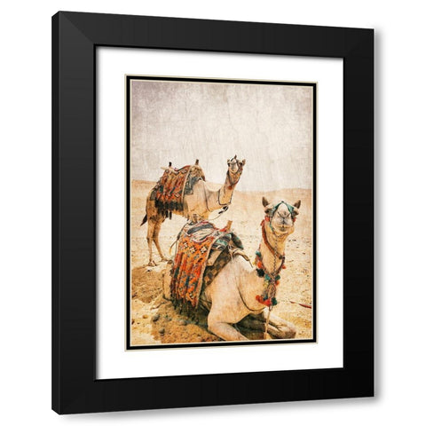 At rest Black Modern Wood Framed Art Print with Double Matting by Kimberly, Allen