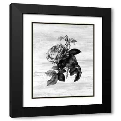 Botanical Flower 2 Black Modern Wood Framed Art Print with Double Matting by Kimberly, Allen