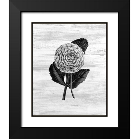 Botanical Flower 3 Black Modern Wood Framed Art Print with Double Matting by Kimberly, Allen