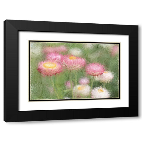 Pink Wild Black Modern Wood Framed Art Print with Double Matting by Kimberly, Allen
