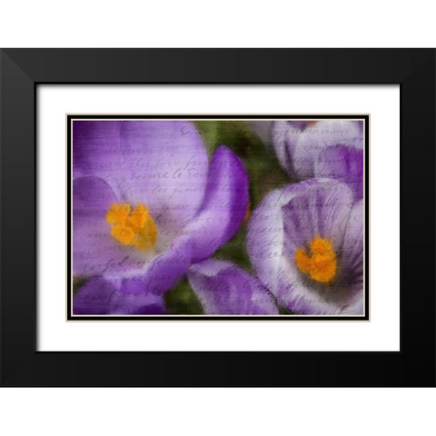 Purple Days Black Modern Wood Framed Art Print with Double Matting by Kimberly, Allen