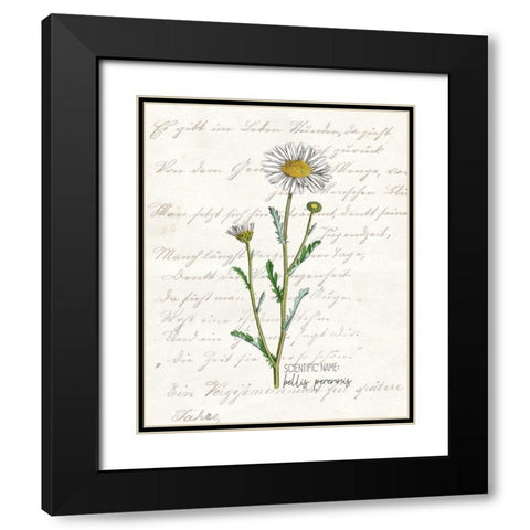 Daisy 1 Black Modern Wood Framed Art Print with Double Matting by Kimberly, Allen