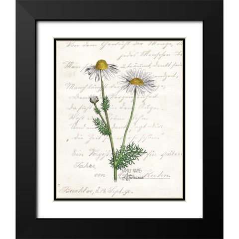 Daisy 2 Black Modern Wood Framed Art Print with Double Matting by Kimberly, Allen