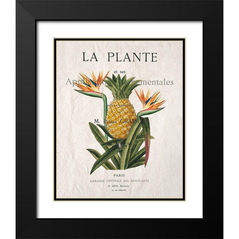 La Plante Black Modern Wood Framed Art Print with Double Matting by Kimberly, Allen