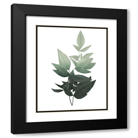 Botanical Greens 1 Black Modern Wood Framed Art Print with Double Matting by Kimberly, Allen