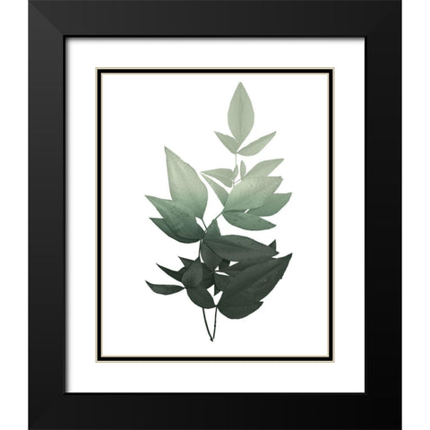 Botanical Greens 1 Black Modern Wood Framed Art Print with Double Matting by Kimberly, Allen