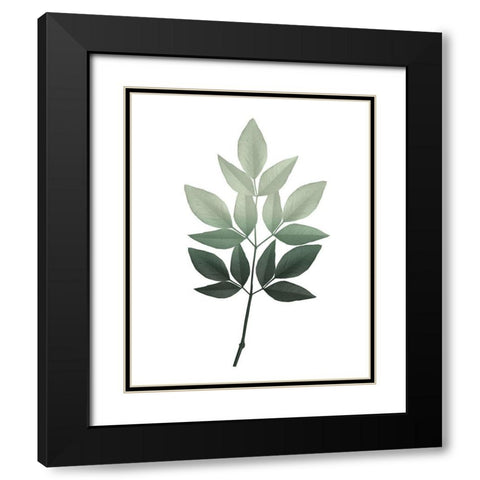 Botanical Greens 2 Black Modern Wood Framed Art Print with Double Matting by Kimberly, Allen