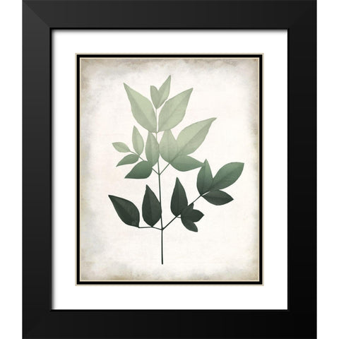 Vintage Botanical Greens 2 Black Modern Wood Framed Art Print with Double Matting by Allen, Kimberly