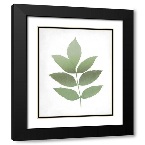 Leaves Print 1 Black Modern Wood Framed Art Print with Double Matting by Kimberly, Allen