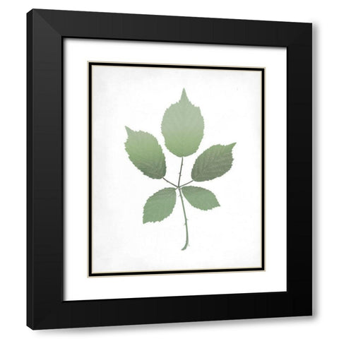 Leaves Print 2 Black Modern Wood Framed Art Print with Double Matting by Kimberly, Allen