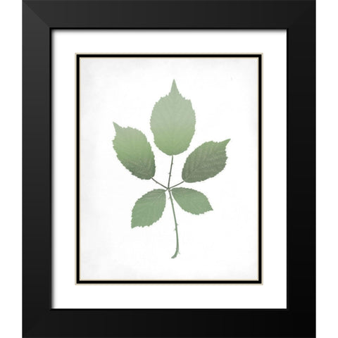 Leaves Print 2 Black Modern Wood Framed Art Print with Double Matting by Kimberly, Allen