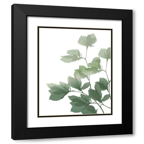 Silhouette Branch Black Modern Wood Framed Art Print with Double Matting by Kimberly, Allen