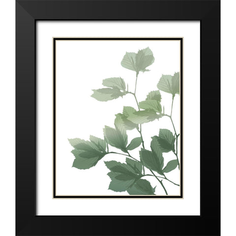 Silhouette Branch Black Modern Wood Framed Art Print with Double Matting by Kimberly, Allen
