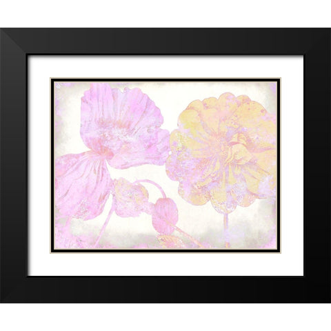 Colorful Spring 5 Black Modern Wood Framed Art Print with Double Matting by Kimberly, Allen