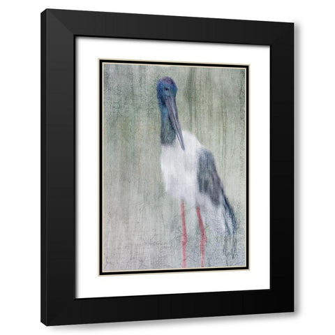 Exotic Black Modern Wood Framed Art Print with Double Matting by Kimberly, Allen