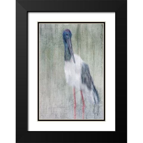 Exotic Black Modern Wood Framed Art Print with Double Matting by Kimberly, Allen