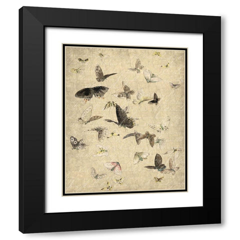 Butterflies in Flight 1 Black Modern Wood Framed Art Print with Double Matting by Kimberly, Allen