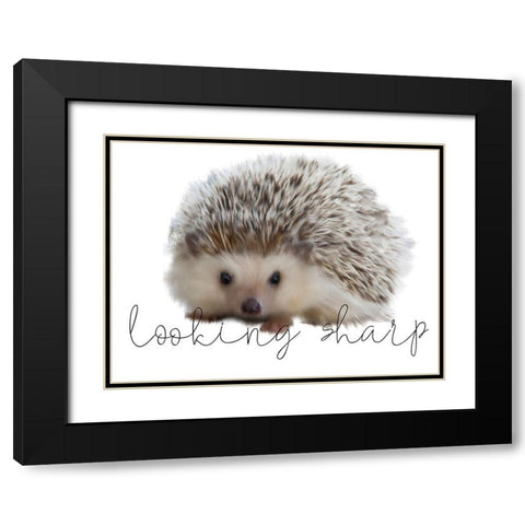 Looking Sharp Black Modern Wood Framed Art Print with Double Matting by Kimberly, Allen
