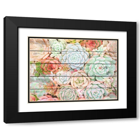Succulent Cluster Black Modern Wood Framed Art Print with Double Matting by Kimberly, Allen