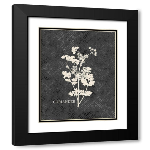 Fresh Coriander Black Modern Wood Framed Art Print with Double Matting by Kimberly, Allen