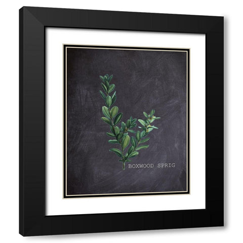 Blackboard Botanical 1 Black Modern Wood Framed Art Print with Double Matting by Kimberly, Allen