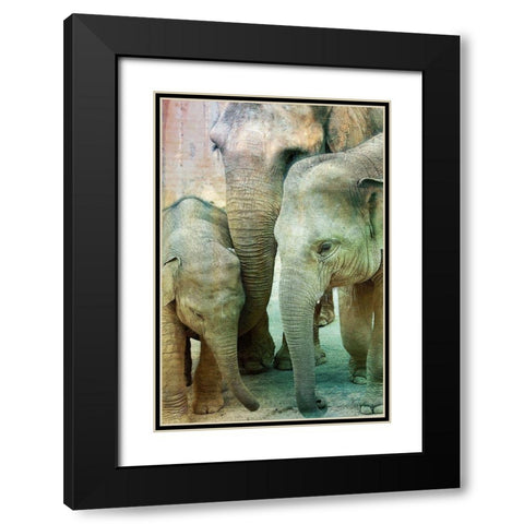 Elephant Family Black Modern Wood Framed Art Print with Double Matting by Kimberly, Allen