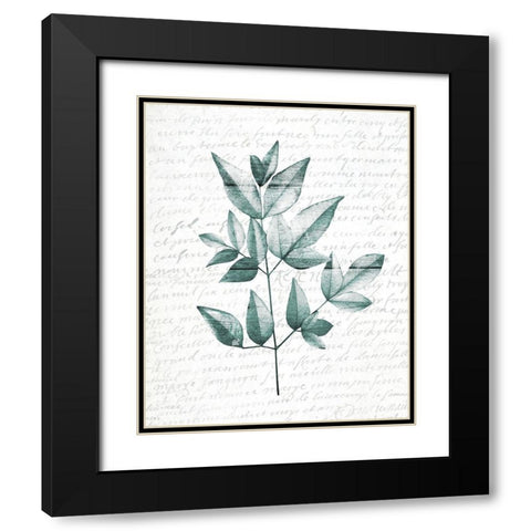 Pressed Leaves 1 Black Modern Wood Framed Art Print with Double Matting by Kimberly, Allen
