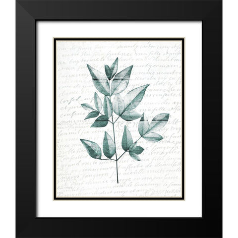 Pressed Leaves 1 Black Modern Wood Framed Art Print with Double Matting by Kimberly, Allen