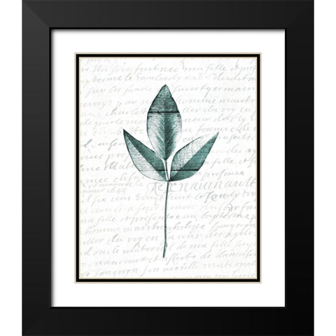 Pressed Leaves 2 Black Modern Wood Framed Art Print with Double Matting by Kimberly, Allen