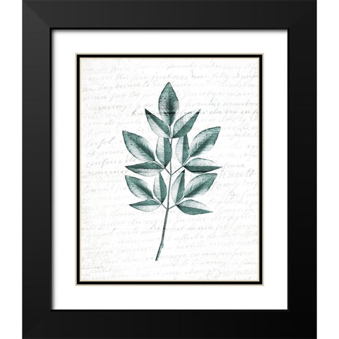Pressed Leaves 3 Black Modern Wood Framed Art Print with Double Matting by Kimberly, Allen