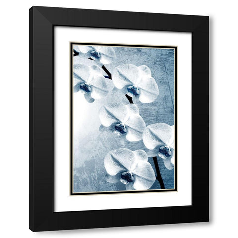 Climbing Orchids 2 Black Modern Wood Framed Art Print with Double Matting by Kimberly, Allen