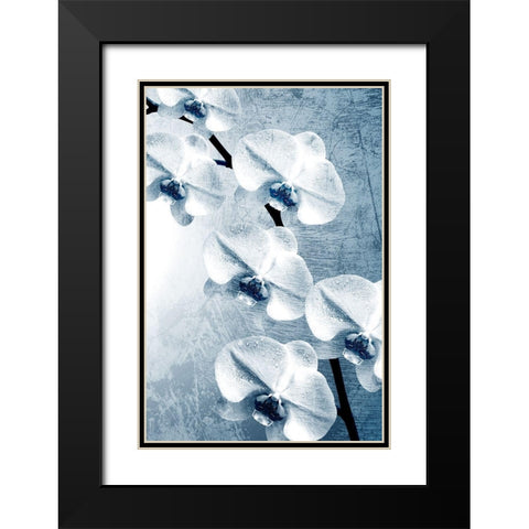 Climbing Orchids 2 Black Modern Wood Framed Art Print with Double Matting by Kimberly, Allen