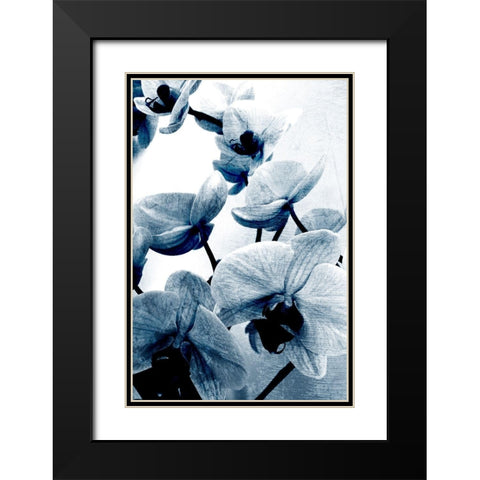 Climbing Orchids Black Modern Wood Framed Art Print with Double Matting by Kimberly, Allen