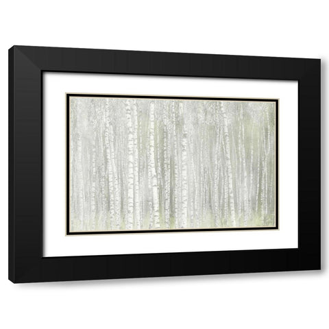 Into the Birches Black Modern Wood Framed Art Print with Double Matting by Kimberly, Allen