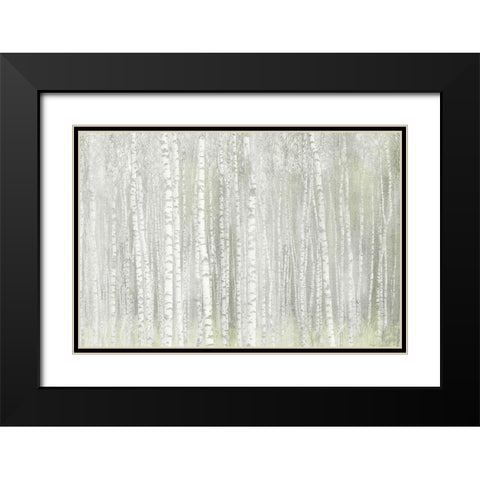 Into the Birches Black Modern Wood Framed Art Print with Double Matting by Kimberly, Allen