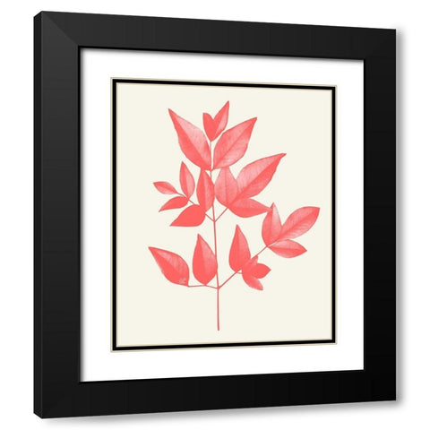 Coral Leaves 2 Black Modern Wood Framed Art Print with Double Matting by Kimberly, Allen