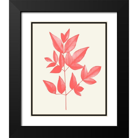Coral Leaves 2 Black Modern Wood Framed Art Print with Double Matting by Kimberly, Allen