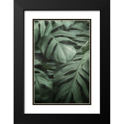 Greenery 2 Black Modern Wood Framed Art Print with Double Matting by Kimberly, Allen