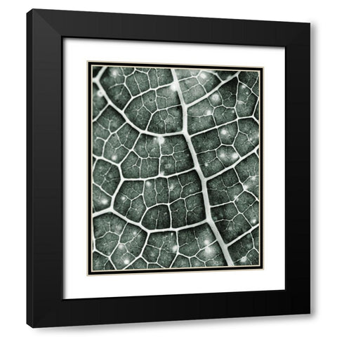 Eco 1 Black Modern Wood Framed Art Print with Double Matting by Kimberly, Allen