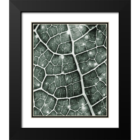 Eco 1 Black Modern Wood Framed Art Print with Double Matting by Kimberly, Allen