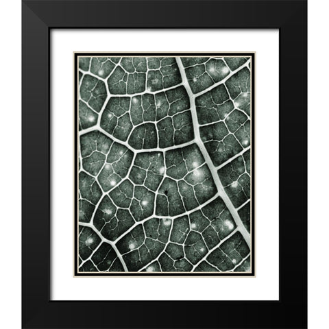 Eco 2 Black Modern Wood Framed Art Print with Double Matting by Kimberly, Allen