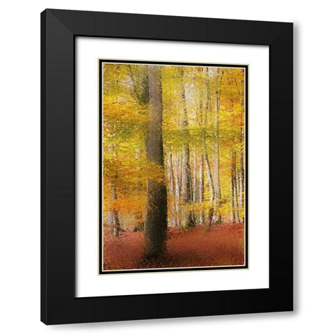 Golden Days Black Modern Wood Framed Art Print with Double Matting by Kimberly, Allen