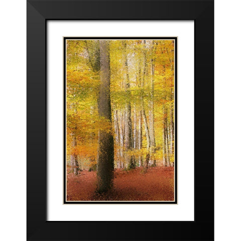 Golden Days Black Modern Wood Framed Art Print with Double Matting by Kimberly, Allen