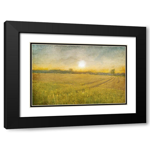 Already to Harvest Black Modern Wood Framed Art Print with Double Matting by Kimberly, Allen
