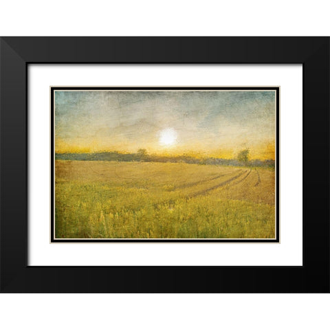 Already to Harvest Black Modern Wood Framed Art Print with Double Matting by Kimberly, Allen