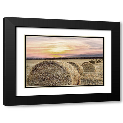 Farmers Harvest Black Modern Wood Framed Art Print with Double Matting by Kimberly, Allen